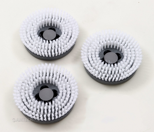 Cimex-Encap Shampoo Brushes