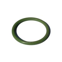 Viton O-Ring (31 x 3)