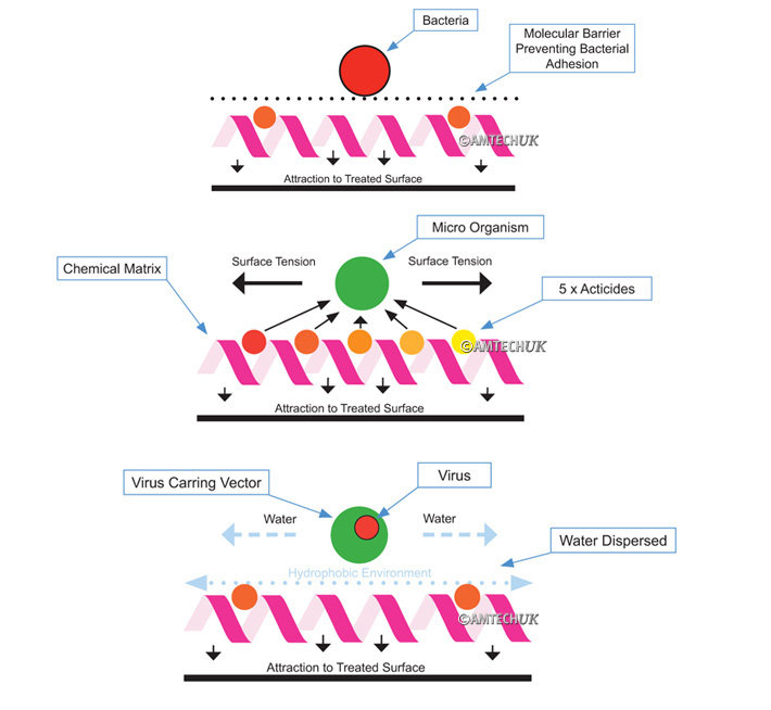 How BarrierTech Surface Sanitiser works to kill bacteria, viruses, fungus, mould and algae.